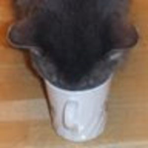 Meet your Posher, Lynna